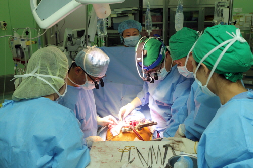 가정호스피스 이야기 / 5